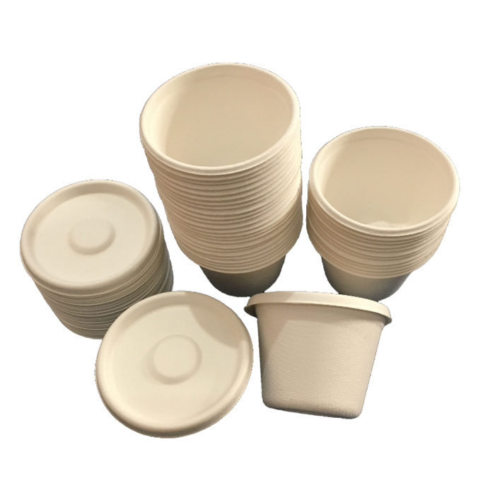 Sugarcane cup with lid from mmcis china